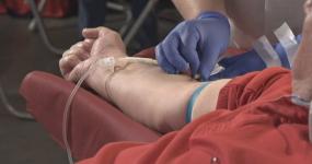 campanya de donació de sang