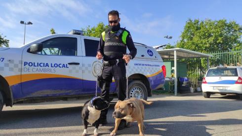 gossos perillosos policia local cambrils