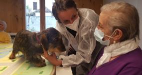 Una sessió de teràpia cognitiva assistida amb gossos de Proyecto Tan Amigos al Centre Alzheimer de Reus
